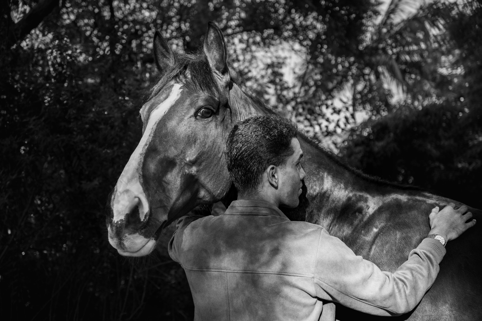 A rider with their horse